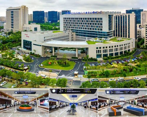 从“瓯江潮涌”到“数字浪潮” 温州技术开发70年回眸与展望