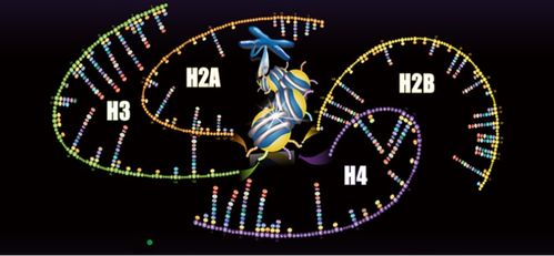 景杰生物完成5.3亿元B轮融资 聚焦蛋白质组学技术开发与应用，引领生命科学新纪元